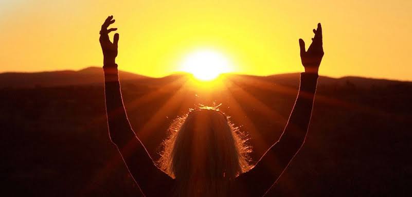 The Light Response Effect: Your Cells Already Know What To Do